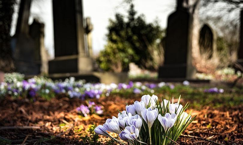 damages claim wrongful death