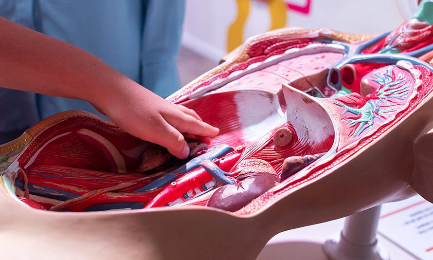 nyc medical malpractice lawyer inadequate training